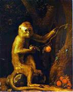 George Stubbs, Green Monkey